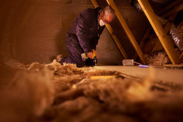 Best DIY Insulation Kits and Guidance in Fostoria, OH